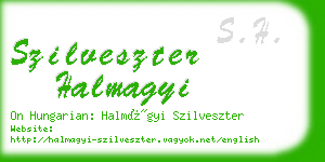 szilveszter halmagyi business card